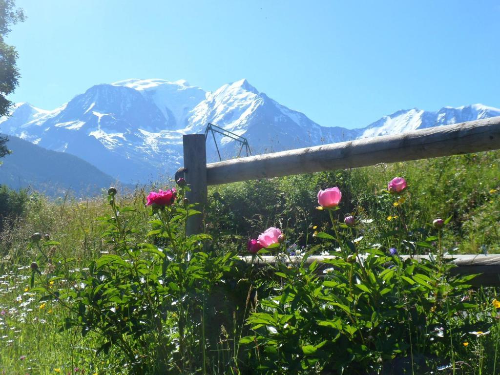 Ferienwohnung Marie Mont Blanc Vue Mont Blanc Saint-Gervais-les-Bains Exterior foto